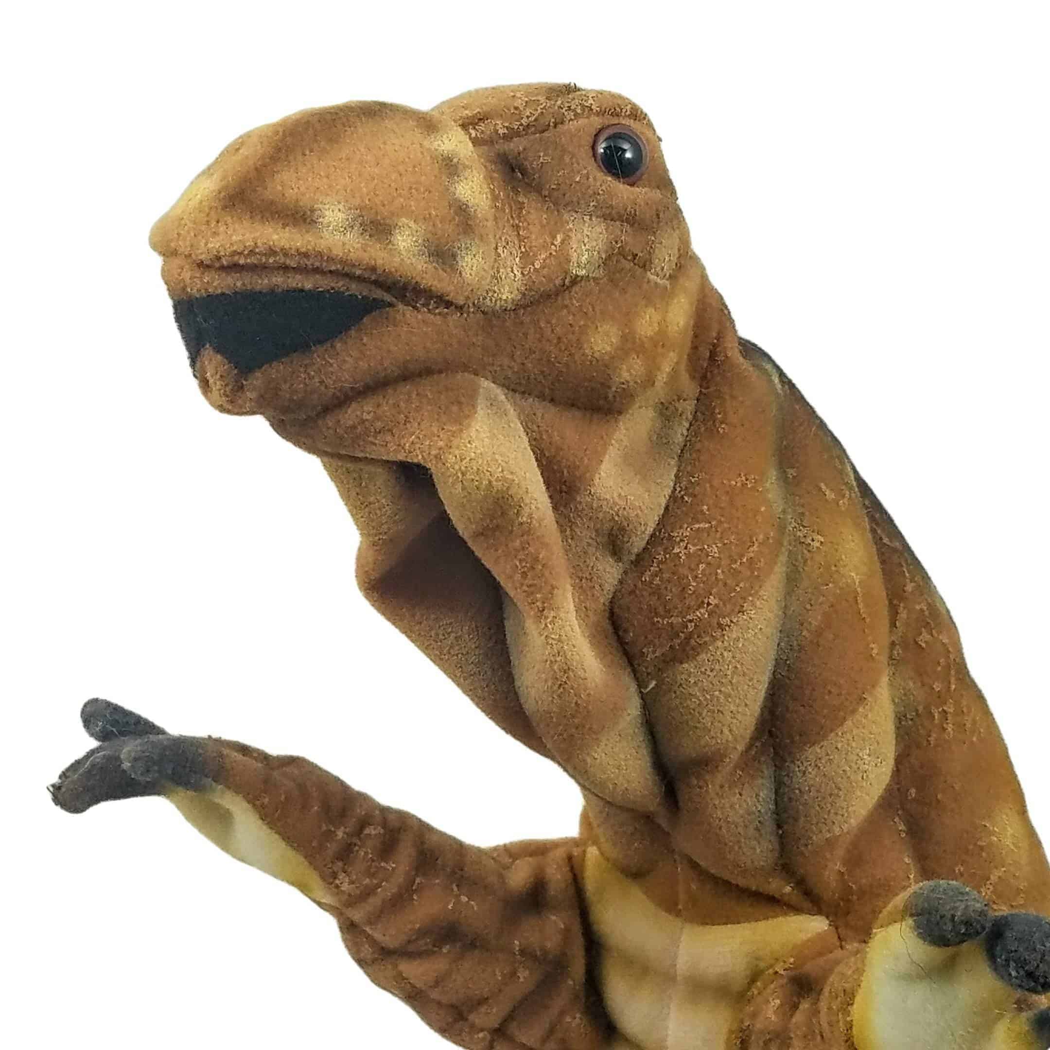 This Muttaburasaurus Dinosaur Hand Puppet by Hansa True to Life Looking Plush Learning Toys is made with love by Premier Homegoods! Shop more unique gift ideas today with Spots Initiatives, the best way to support creators.
