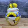 This Lemon Cookie Jar Biscotti Canister by Blue Sky Heather Goldminc is made with love by Premier Homegoods! Shop more unique gift ideas today with Spots Initiatives, the best way to support creators.