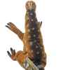 This Muttaburasaurus Dinosaur Hand Puppet by Hansa True to Life Looking Plush Learning Toys is made with love by Premier Homegoods! Shop more unique gift ideas today with Spots Initiatives, the best way to support creators.