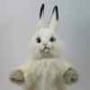 This Rabbit Hand Puppet by Hansa True to Life Lookig Soft Plush Animal Learning Toy is made with love by Premier Homegoods! Shop more unique gift ideas today with Spots Initiatives, the best way to support creators.