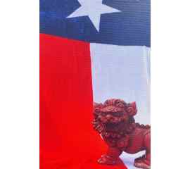 This Texas Pride (Photo Wrapped Canvas) Foo Dog Blog is made with love by Victoria J. Hyla (Author)/Victorious Editing Services! Shop more unique gift ideas today with Spots Initiatives, the best way to support creators.