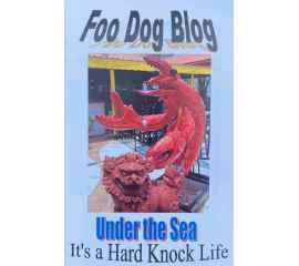 This Under the Sea: It's a Hard Knock Life (Foo Dog Blog Mini Book) is made with love by Victoria J. Hyla (Author)/Victorious Editing Services! Shop more unique gift ideas today with Spots Initiatives, the best way to support creators.