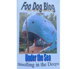 This Under the Sea: Strolling in the Deeps (Foo Dog Blog Mini Book) is made with love by Victoria J. Hyla (Author)/Victorious Editing Services! Shop more unique gift ideas today with Spots Initiatives, the best way to support creators.