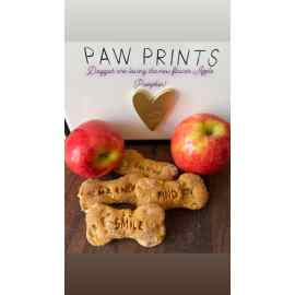 This 1 Doz Box Medium Apple Pumpkin Doggo Treats is made with love by Treats By William! Shop more unique gift ideas today with Spots Initiatives, the best way to support creators.