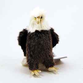 This Eagle Perched 9'' by Hansa True to Life Look Soft Plush Animal Learning Toys is made with love by Premier Homegoods! Shop more unique gift ideas today with Spots Initiatives, the best way to support creators.
