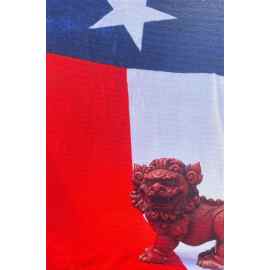 This Texas Pride (Photo Wrapped Canvas) Foo Dog Blog is made with love by Victoria J. Hyla (Author)/Victorious Editing Services! Shop more unique gift ideas today with Spots Initiatives, the best way to support creators.